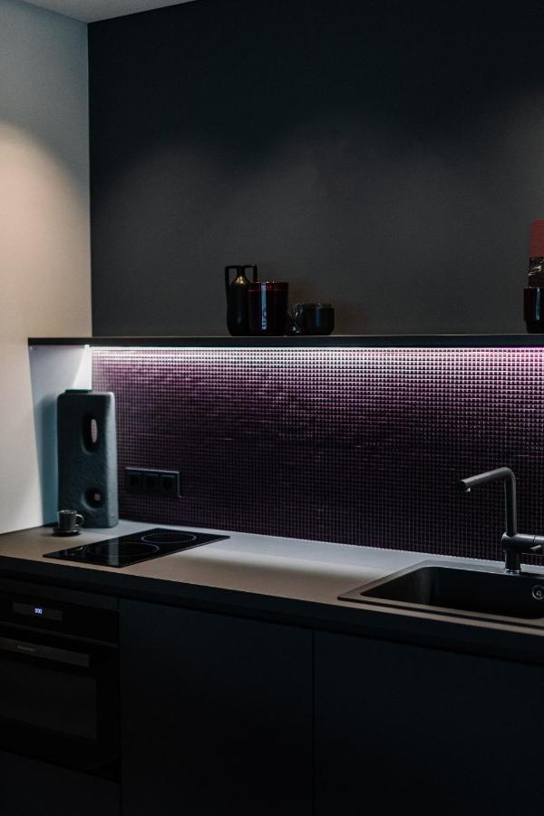 Exklusive Design Appartement Blackberry Neubau 普丰斯塔特 外观 照片